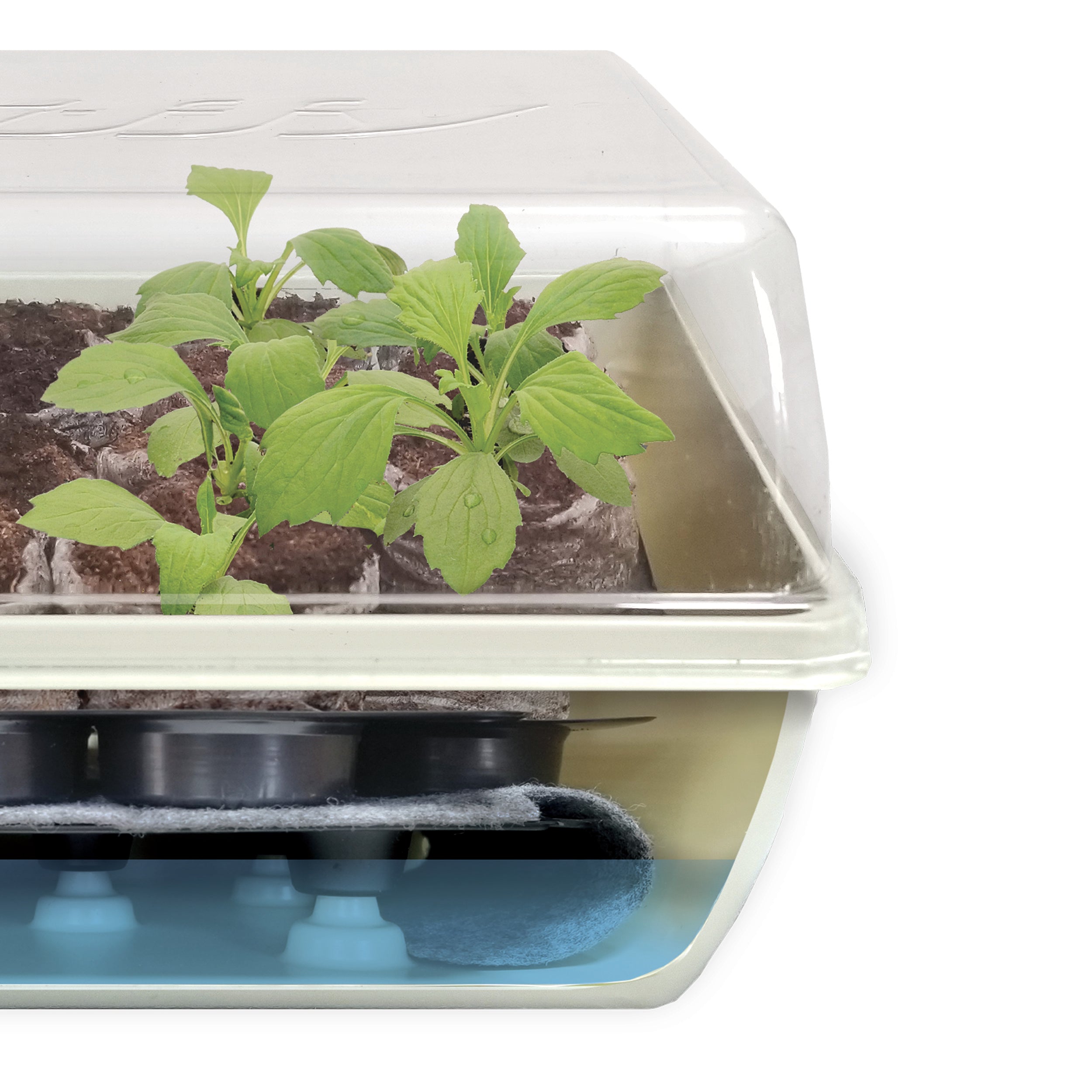 Side View of Jiffy Self Watering Greenhouse in Use